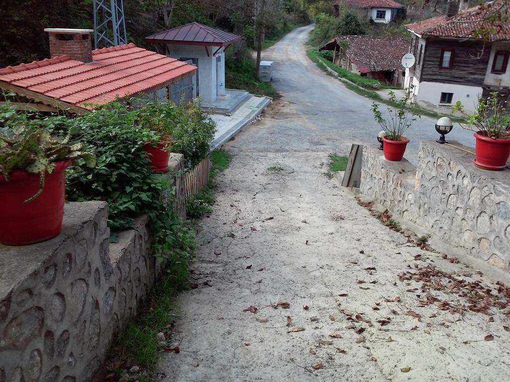 Ekoland Hotel Ağva Zewnętrze zdjęcie