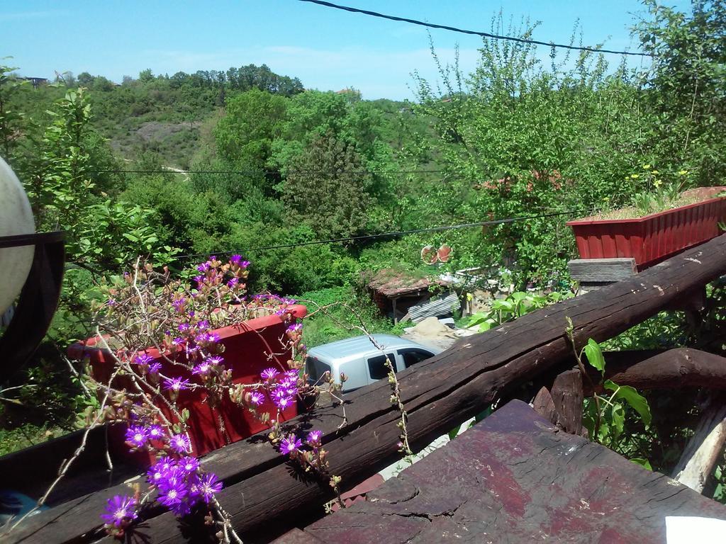 Ekoland Hotel Ağva Zewnętrze zdjęcie