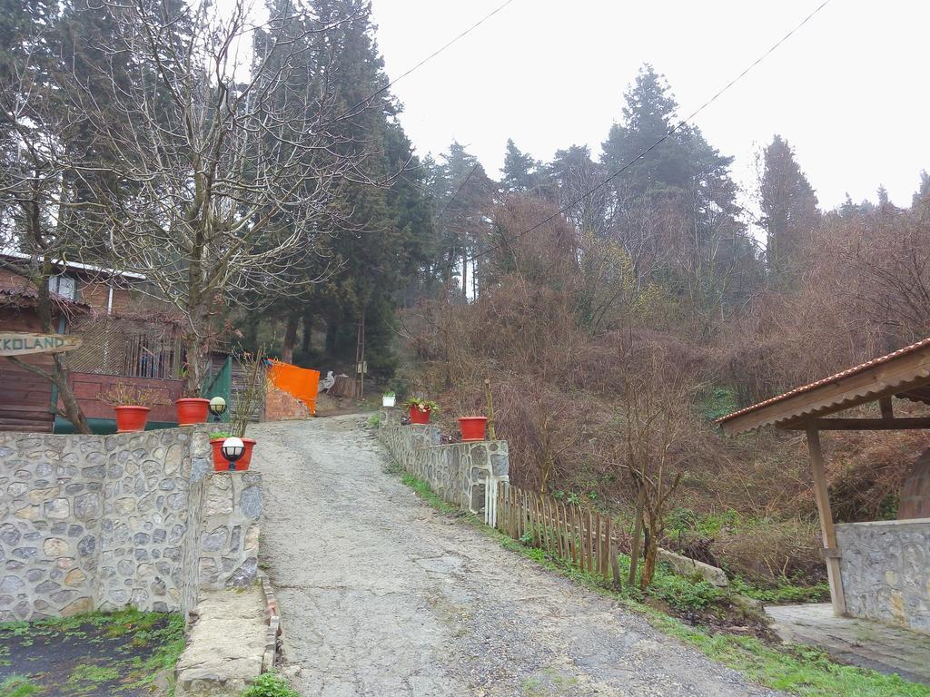 Ekoland Hotel Ağva Zewnętrze zdjęcie