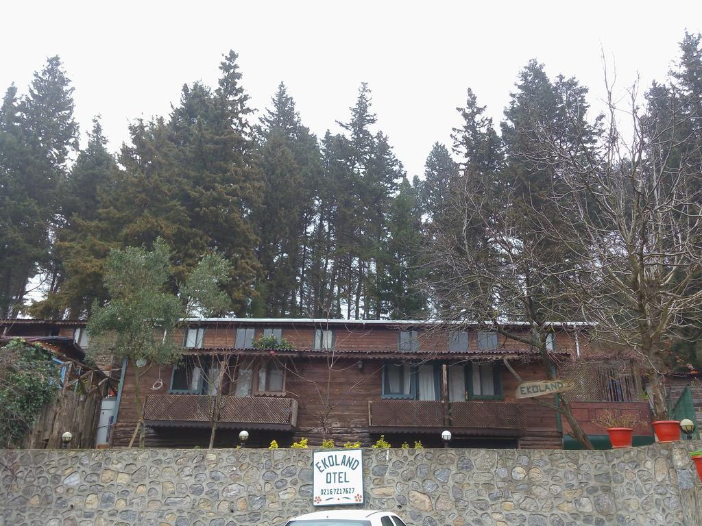Ekoland Hotel Ağva Zewnętrze zdjęcie