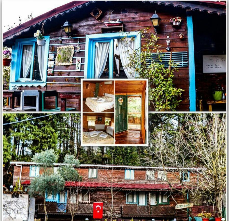 Ekoland Hotel Ağva Zewnętrze zdjęcie